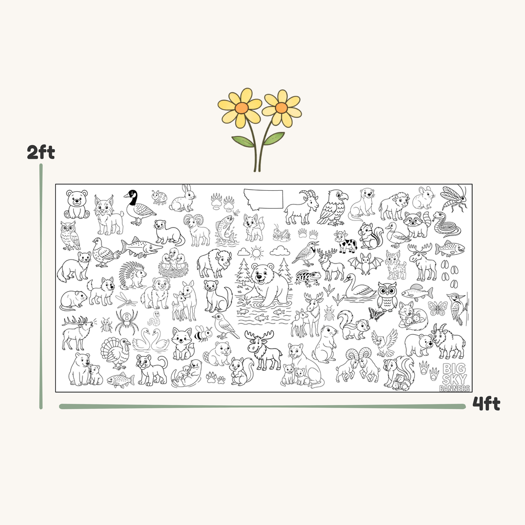 Illustration of a large sheet with various animals and objects, showing dimensions of 2 feet by 4 feet.