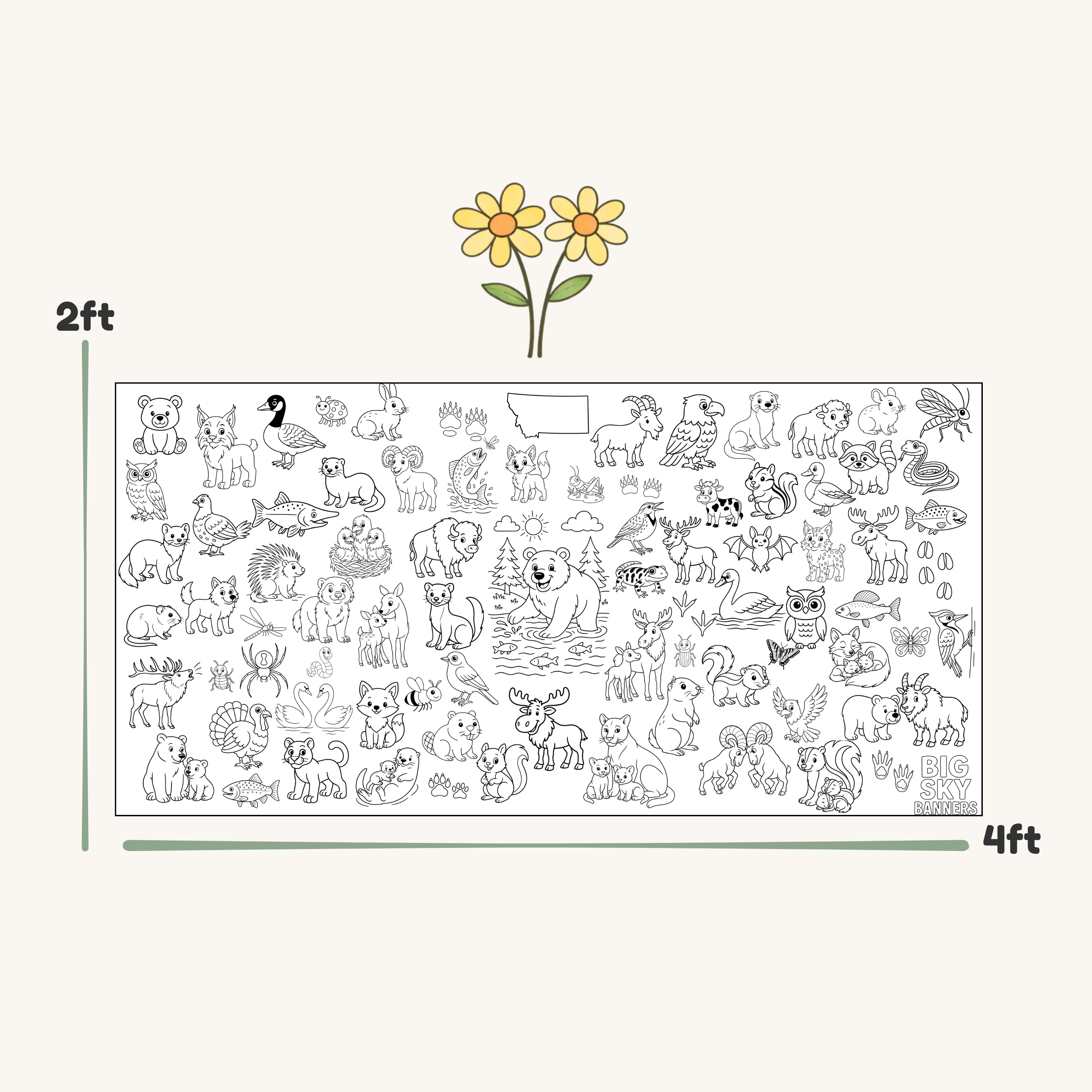 Illustration of a large sheet with various animals and objects, showing dimensions of 2 feet by 4 feet.