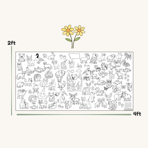 Illustration of a large sheet with various animals and objects, showing dimensions of 2 feet by 4 feet.